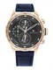 TOMMY HILFIGER Uhr gold / navy