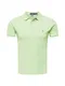 POLO RALPH LAUREN Shirt mint / rauchblau