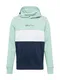 HOLLISTER Sweatshirt ''''SB21''''  zelena / bela / mornarska