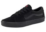 Vans Skater Schuhe image