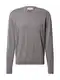 DAN FOX APPAREL Pullover ''''James'''' grau