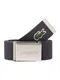 LACOSTE Gürtel dunkelgrau / silber / hellgrün / weiß / feuerrot