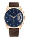 TOMMY HILFIGER Uhr dunkelbraun / blau