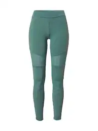 Tajice menta