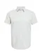 SELECTED HOMME Srajca  svetlo siva / bela / svetlo modra