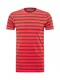 TOMMY HILFIGER Majica  rdeča / črna
