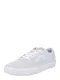 Nike SB Nizke superge ''''Chron''''  svetlo siva / sivka