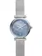 FOSSIL Analogové hodinky  stříbrná / kouřově modrá