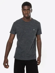 Iriedaily T-Shirt 'Chamisso' dunkelgrau/weiß