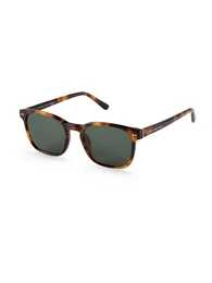 Sonnenbrille 'Pasadena Tortoise Green' braun / gold / grün
