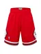 Mitchell & Ness Hose navy / rot / wei