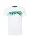 Superdry Majica  bela / mornarska / turkizna / limeta