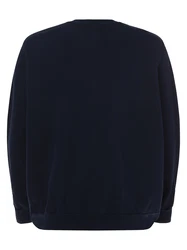 Levi's Big & Tall Sweatshirt 'Original Housemark Crewneck Sweatshirt' blau/rot/weiß