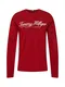 TOMMY HILFIGER Majica  mornarska / rdea / bela