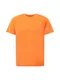 THE NORTH FACE Shirt orange
