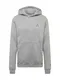 Jordan Sweatshirt graumeliert