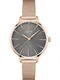 BOSS Black Analogov hodinky  rov zlat / stbrn