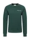 SCOTCH & SODA Sweatshirt grün / weiß