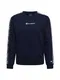 Champion Authentic Athletic Apparel Majica  mornarska / rna / bela