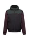 Iriedaily Jacke dunkelgrün / schwarz / weinrot