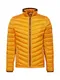TOM TAILOR Jacke honig / schwarz