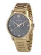 TOMMY HILFIGER Uhr gold / navy