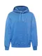 Polo Ralph Lauren Sweatshirt himmelblau / cranberry