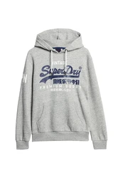 Superdry Sweatshirt Grau