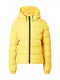 Superdry Prijelazna jakna  žuta / bijela / crna