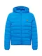 Lyle & Scott Jacke himmelblau / gelb / schwarz
