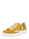 Superdry Tenisky  hoicov / bl
