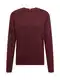 TOMMY HILFIGER Pulover  burgund