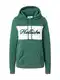 HOLLISTER Sweater majica  zelena / bijela / mornarsko plava