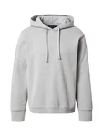 ABOUT YOU x Louis Darcis Sweatshirt grau
