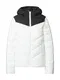 Champion Authentic Athletic Apparel Pechodn bunda  ern / bl