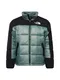 THE NORTH FACE Jacke mint / schwarz