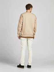 JACK & JONES Sweatshirt JJESTAR BASIC (4012) Beige