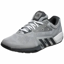 Sportschuh grau / hellgrau