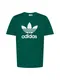 ADIDAS ORIGINALS T-Shirt dunkelgrün / weiß