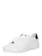 Calvin Klein Tenisky  bl / ern