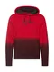 HOLLISTER Sweatshirt rot / burgunder / schwarz