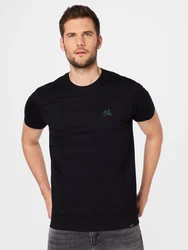Iriedaily T-Shirt 'Peaceride' grau / jade / pfirsich / schwarz