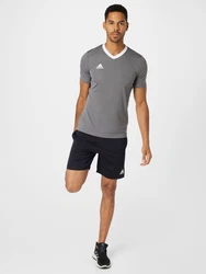 ADIDAS PERFORMANCE Funktionsshirt 'Entrada 22' grau/weiß