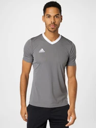ADIDAS PERFORMANCE Funktionsshirt 'Entrada 22' grau/weiß