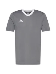 ADIDAS PERFORMANCE Funktionsshirt 'Entrada 22' grau/weiß