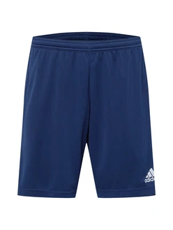 ADIDAS PERFORMANCE Sportshorts 'Entrada 22'
