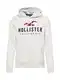 HOLLISTER Majica  pegasto siva / rdea / marine