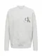 Calvin Klein Jeans Pullover graumeliert / beere / schwarz / weiß