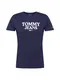 Tommy Jeans Shirt ''''ENTRY'''' navy / rot / weiß