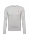 Abercrombie & Fitch Pullover graumeliert / curry / braun